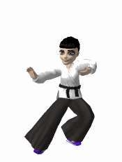 animated_karate1.gif?w=640